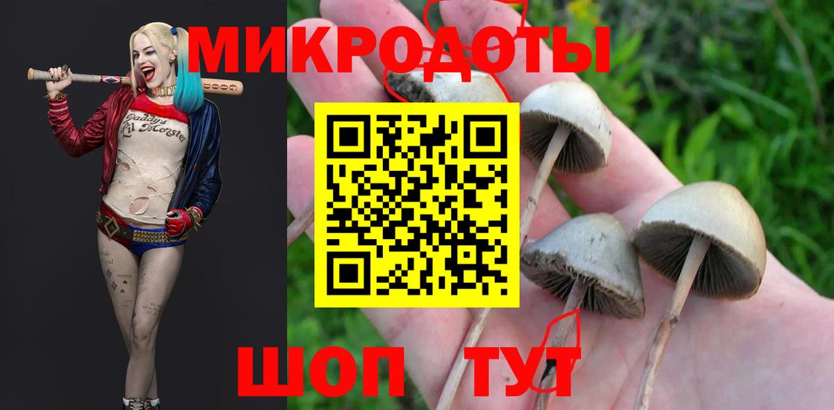 Псилоцибиновые грибы прущие грибы  Вход с VPN  Воткинск 
